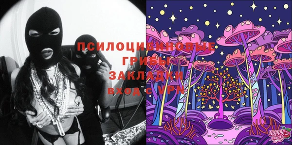 МДПВ Алексеевка