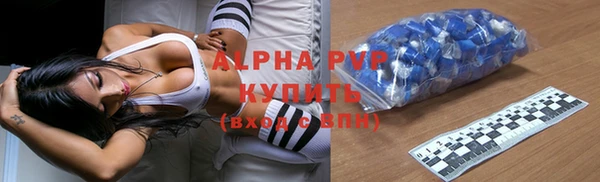 шишки Аркадак