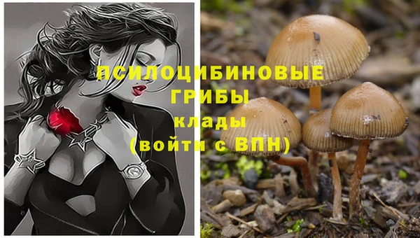МДПВ Алексеевка