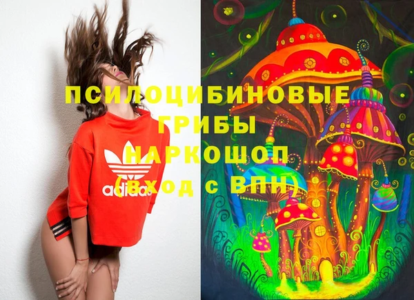 не бодяженный Снежногорск