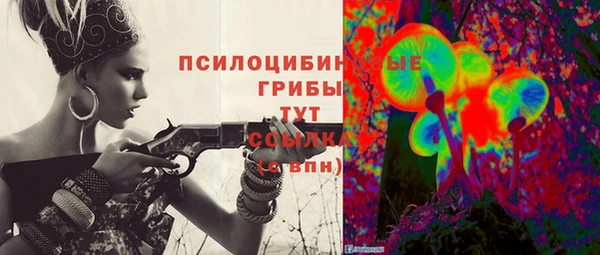 МДПВ Алексеевка