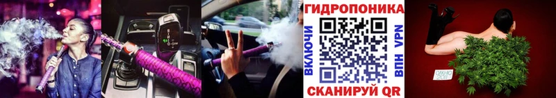 Конопля планчик  наркошоп  Кизел 